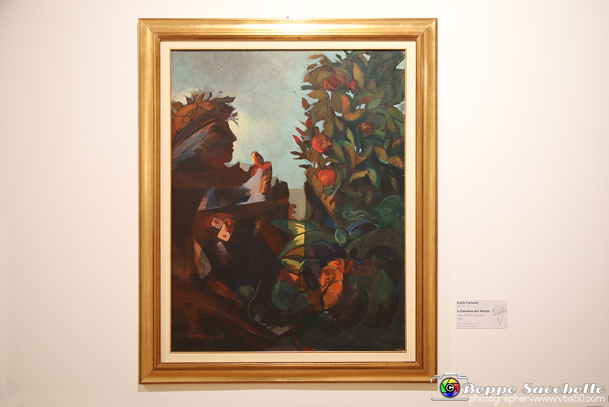 VBS_7892 - Mostra Carlo Carosso. Dioniso e Orfeo Poesia e colori del mito.jpg